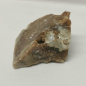 Preview: Opalisiertes Versteinertes Holz